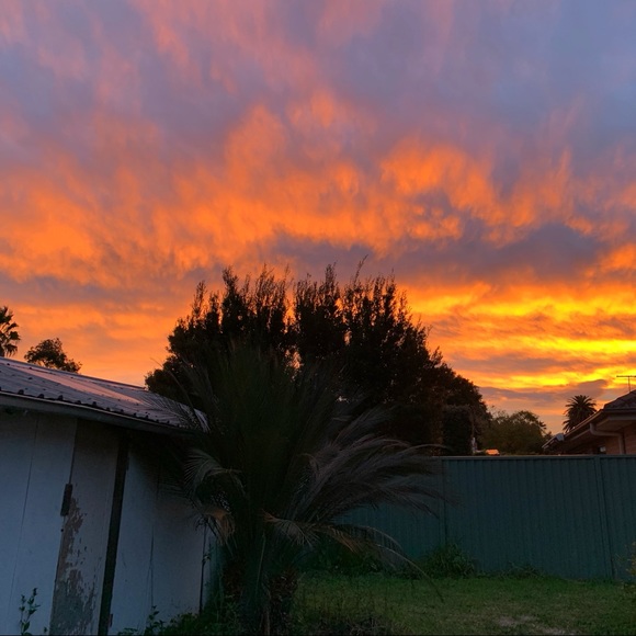 Meet your Posher, Jeriel - Picture 1 of 1